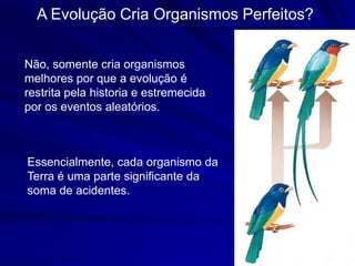 A Evolução Cria Organismos Perfeitos?


Não, somente cria organismos
melhores por que a evolução é
restrita pela historia e estremecida
por os eventos aleatórios.



Essencialmente, cada organismo da
Terra é uma parte significante da
soma de acidentes.
 