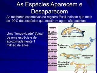 As Espécies Aparecem e
           Desaparecem
As melhores estimativas do registro fóssil indicam que mais
de 99% das espécies que existiram agora são extintas.


Uma‫“‏‬longevidade”‫‏‬típica‫‏‬
de uma espécie e de
aproximadamente 1
milhão de anos.
 