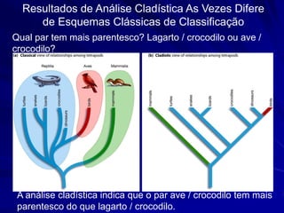 Resultados de Análise Cladística As Vezes Difere
     de Esquemas Clássicas de Classificação
Qual par tem mais parentesco? Lagarto / crocodilo ou ave /
crocodilo?




 A análise cladística indica que o par ave / crocodilo tem mais
 parentesco do que lagarto / crocodilo..
 
