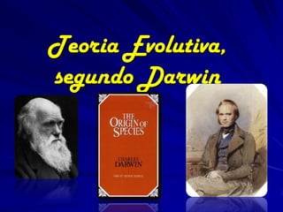 Teoria Evolutiva,
segundo Darwin
 