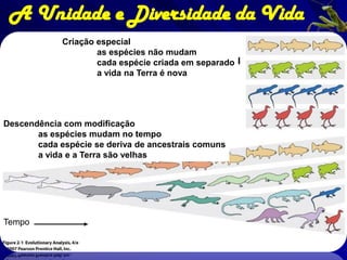 A Unidade e Diversidade da Vida
             Criação especial
                     as espécies não mudam
                     cada espécie criada em separado
                     a vida na Terra é nova




Descendência com modificação
       as espécies mudam no tempo
       cada espécie se deriva de ancestrais comuns
       a vida e a Terra são velhas




Tempo
 