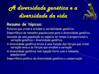 A diversidade genética e a
    diversidade da vida
Resumo de tópicos:
Fatores que criam e erodem a variabilidade genética
Importância do tamanho populacional para a diversidade genética
Sucesso de uma população ou espécie no tempo é proporcional a
   variação genética = diversidade genética
A diversidade genética bruta é uma função das forças que criam
   variação nova e as forças que erodem a variação
A diversidade genética tem ligação forte com o tamanho
   populacional
Importância prática da diversidade genética a conservação
 