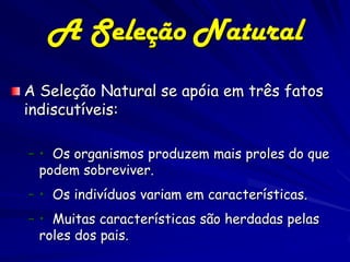 A Seleção Natural
A Seleção Natural se apóia em três fatos
indiscutíveis:

– • Os organismos produzem mais proles do que
  podem sobreviver.
– • Os indivíduos variam em características.
– • Muitas características são herdadas pelas
  roles dos pais.
 