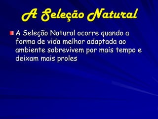A Seleção Natural
A Seleção Natural ocorre quando a
forma de vida melhor adaptada ao
ambiente sobrevivem por mais tempo e
deixam mais proles
 