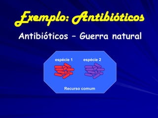 Exemplo: Antibióticos
Antibióticos – Guerra natural

        espécie 1   espécie 2




            Recurso comum
 