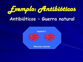 Exemplo: Antibióticos
Antibióticos – Guerra natural

            espécie 1




          Recurso comum
 