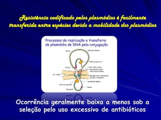 Resistência codificado pelos plasmódios é facilmente
transferida entre espécies devido a mobilidade dos plasmódios

               Processos de replicação e transferia
               de plasmódio de DNA pela conjugação




  Ocorrência geralmente baixa a menos sob a
   seleção pelo uso excessivo de antibióticos
 