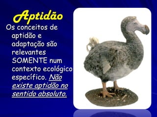 Aptidão
Os conceitos de
 aptidão e
 adaptação são
 relevantes
 SOMENTE num
 contexto ecológico
 específico. Não
 existe aptidão no
 sentido absoluto.
 