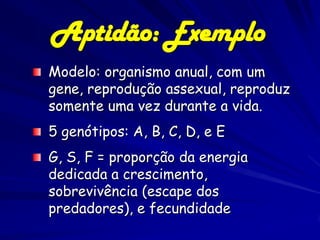 Aptidão: Exemplo
Modelo: organismo anual, com um
gene, reprodução assexual, reproduz
somente uma vez durante a vida.
5 genótipos: A, B, C, D, e E
G, S, F = proporção da energia
dedicada a crescimento,
sobrevivência (escape dos
predadores), e fecundidade
 