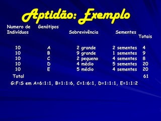 Aptidão: Exemplo
Numero de    Genótipos
Indivíduos               Sobrevivência        Sementes
                                                         Totais

   10           A           2   grande    2   sementes    4
   10           B           9   grande    1   sementes    9
   10           C           2   pequeno   4   sementes    8
   10           D           4   médio     5   sementes    20
   10           E           5   médio     4   sementes    20
  Total                                                    61
 G:F:S em A=6:1:1, B=1:1:6, C=1:6:1, D=1:1:1, E=1:1:2
 