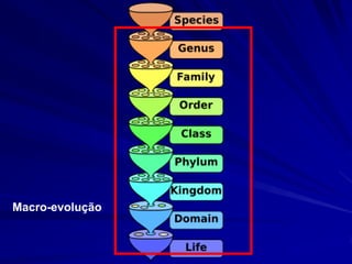 Macro-evolução
 