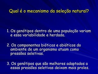 Qual é o mecanismo da seleção natural?



1. Os genótipos dentro de uma população variam
   e essa variabilidade e herdada.

2. Os componentes bióticos e abióticos do
  ambiente de um organismo atuam como
  pressões seletivas.

3. Os genótipos que são melhores adaptados a
  essas pressões seletivas deixam mais proles.
 