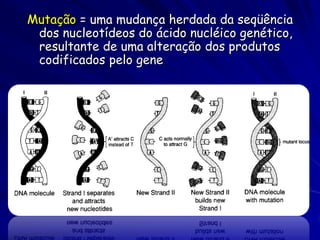 Mutação = uma mudança herdada da seqüência
 dos nucleotídeos do ácido nucléico genético,
 resultante de uma alteração dos produtos
 codificados pelo gene
 