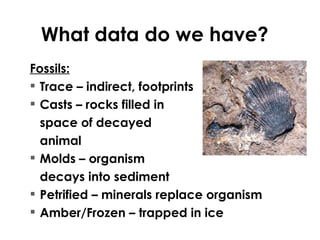 Evolution | PPT