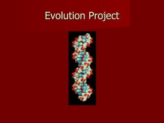 Evolution Project 