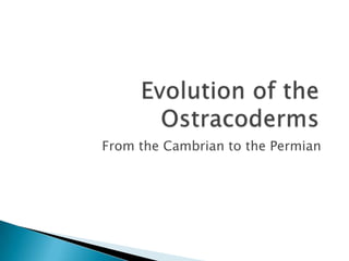 From the Cambrian to the Permian
 