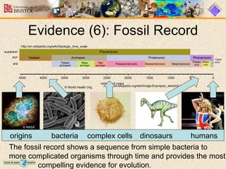 Reddit Evolution Evolution | PPT