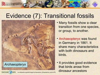 Evolution | PPT