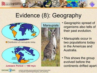 Evolution | PPT
