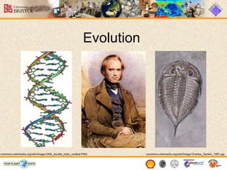 Devon Evolution Evolution | PPT