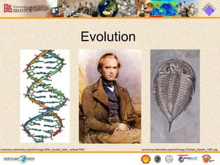 Evolution commons.wikimedia.org/wiki/Image:Charles_Darwin_1881.jpg commons.wikimedia.org/wiki/Image:DNA_double_helix_vertikal.PNG 