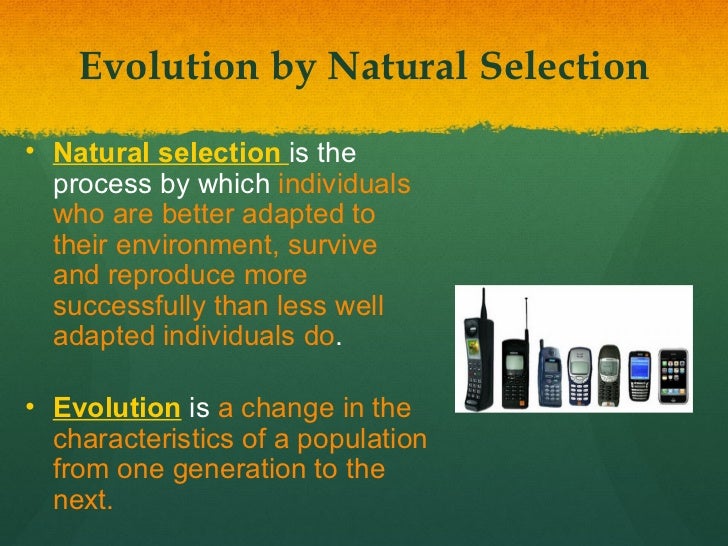 Why Is Adaptation Important In Natural Selection Why Is Adaptation Important In Natural Selection