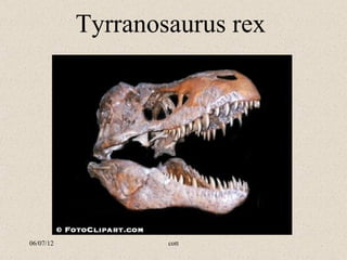 Tyrranosaurus rex




06/07/12           cott
 