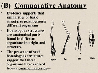 (B) Comparative Anatomy
•   Evidence supports that
    similarities of basic
    structures exist between
    different organisms
•   Homologous structures
    are anatomical parts
    found in different
    organisms in origin and
    structure
•   The presence of such
    homologous structures
    suggest that these
    organisms have evolved
    from a common ancestor cott
     06/07/12
 