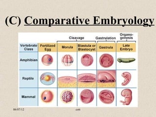 (C) Comparative Embryology




 06/07/12   cott
 