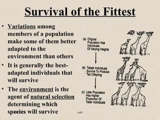 Survival of the Fittest
• Variations among
  members of a population
  make some of them better
  adapted to the
  environment than others
• It is generally the best-
  adapted individuals that
  will survive
• The environment is the
  agent of natural selection
  determining which
  species will survive
     06/07/12                cott
 
