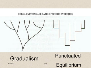 Punctuated 
  Gradualism
06/07/12       cott
                      Equilibrium
 