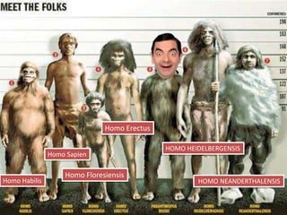 Homo Erectus

                                             HOMO HEIDELBERGENSIS
               Homo Sapien

                   Homo Floresiensis
Homo Habilis                                         HOMO NEANDERTHALENSIS
 