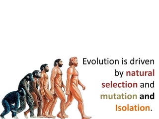 Evolution is driven
        by natural
     selection and
    mutation and
         Isolation.
 