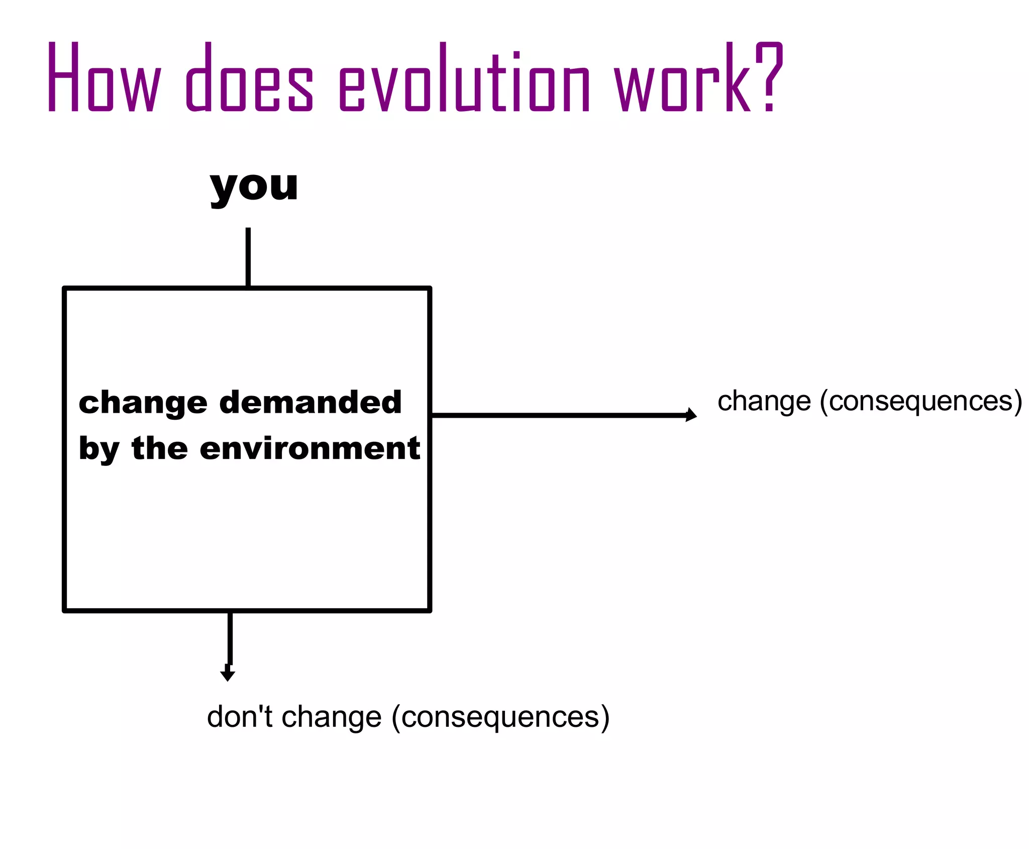 Evolution Study Guide | PPT