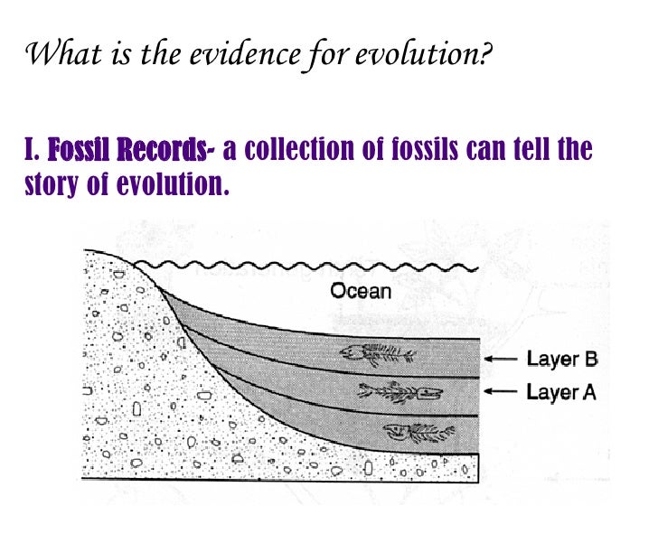 Evolution Study Guide