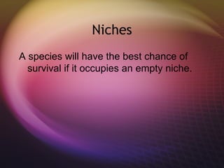 Niches A species will have the best chance of survival if it occupies an empty niche. 