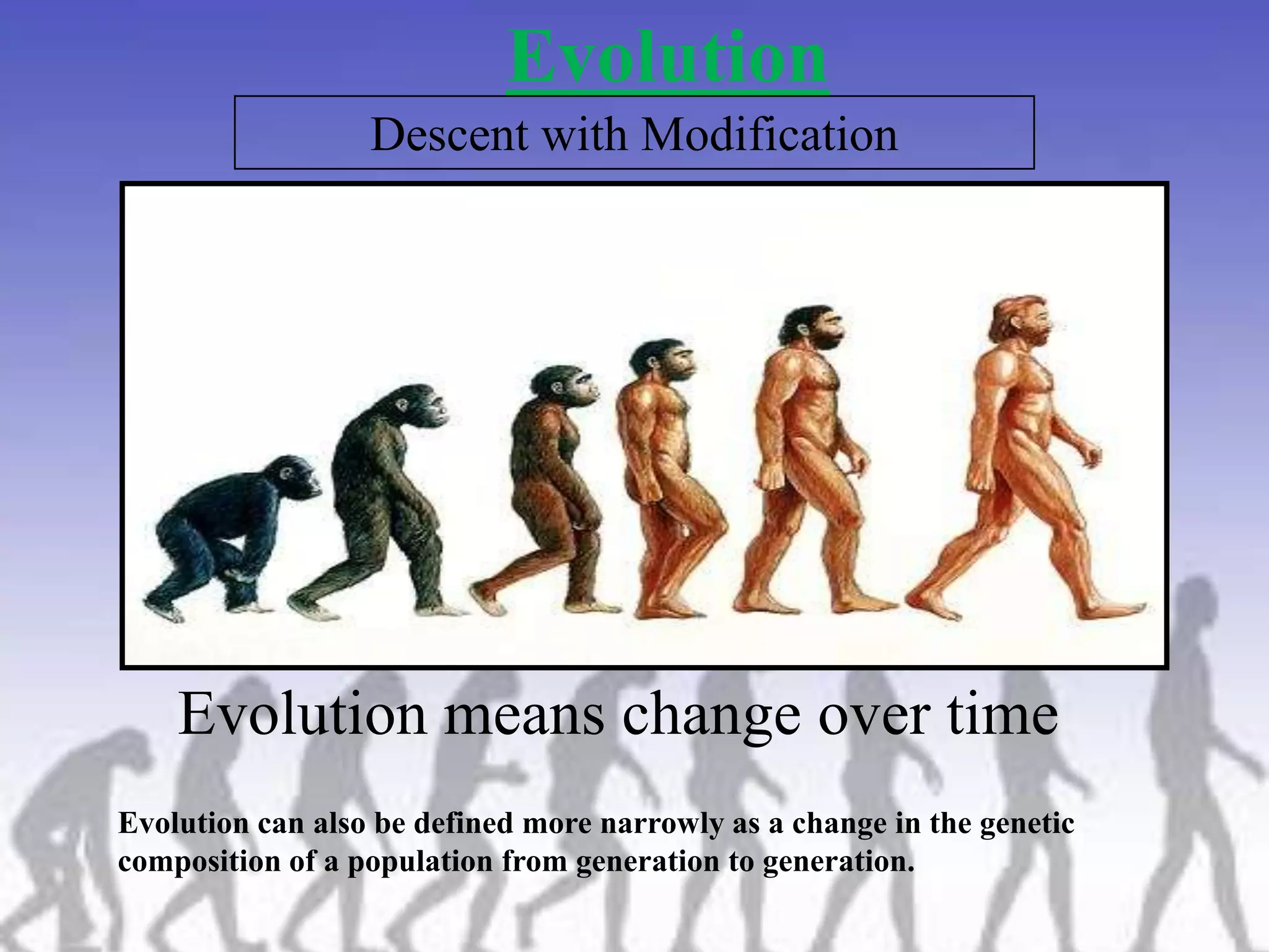 Evolution | PPTX