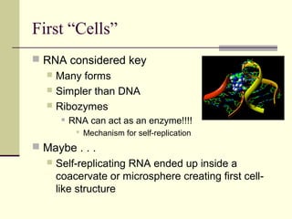 First “Cells”
 RNA considered key
   Many forms
   Simpler than DNA
   Ribozymes
          RNA can act as an enzyme!!!!
             Mechanism for self-replication
 Maybe . . .
     Self-replicating RNA ended up inside a
      coacervate or microsphere creating first cell-
      like structure
 