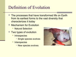 Definition of Evolution
 The processes that have transformed life on Earth
  from its earliest forms to the vast diversity that
  characterizes it today
 Mechanism for Evolution
      Natural Selection
 Two types of evolution
    Intraspecies
        Single species evolves

    Interspecies
        New species evolves
 