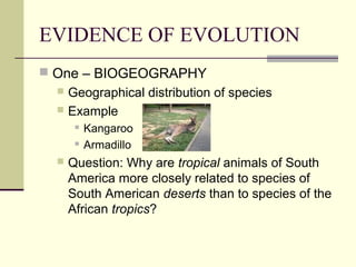 EVIDENCE OF EVOLUTION
 One – BIOGEOGRAPHY
   Geographical distribution of species
   Example
          Kangaroo
          Armadillo
     Question: Why are tropical animals of South
      America more closely related to species of
      South American deserts than to species of the
      African tropics?
 