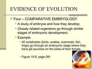 EVIDENCE OF EVOLUTION
 Four – COMPARATIVE EMBRYOLOGY
   A study of embryos and how they develop.
   Closely related organisms go through similar
    stages of embryonic development.
   Example
         All vertebrates (birds, snakes, mammals, fish,
          frogs) go through an embryonic stage where they
          have gill pouches on the sides of their throats

         Figure 15-9, page 291
 