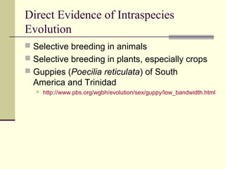 Direct Evidence of Intraspecies
Evolution
 Selective breeding in animals
 Selective breeding in plants, especially crops
 Guppies (Poecilia reticulata) of South
  America and Trinidad
     http://www.pbs.org/wgbh/evolution/sex/guppy/low_bandwidth.html
 