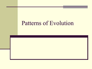 Patterns of Evolution
 