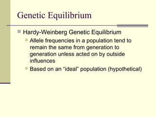 Genetic Equilibrium
 Hardy-Weinberg Genetic Equilibrium
   Allele frequencies in a population tend to
    remain the same from generation to
    generation unless acted on by outside
    influences
   Based on an “ideal” population (hypothetical)
 