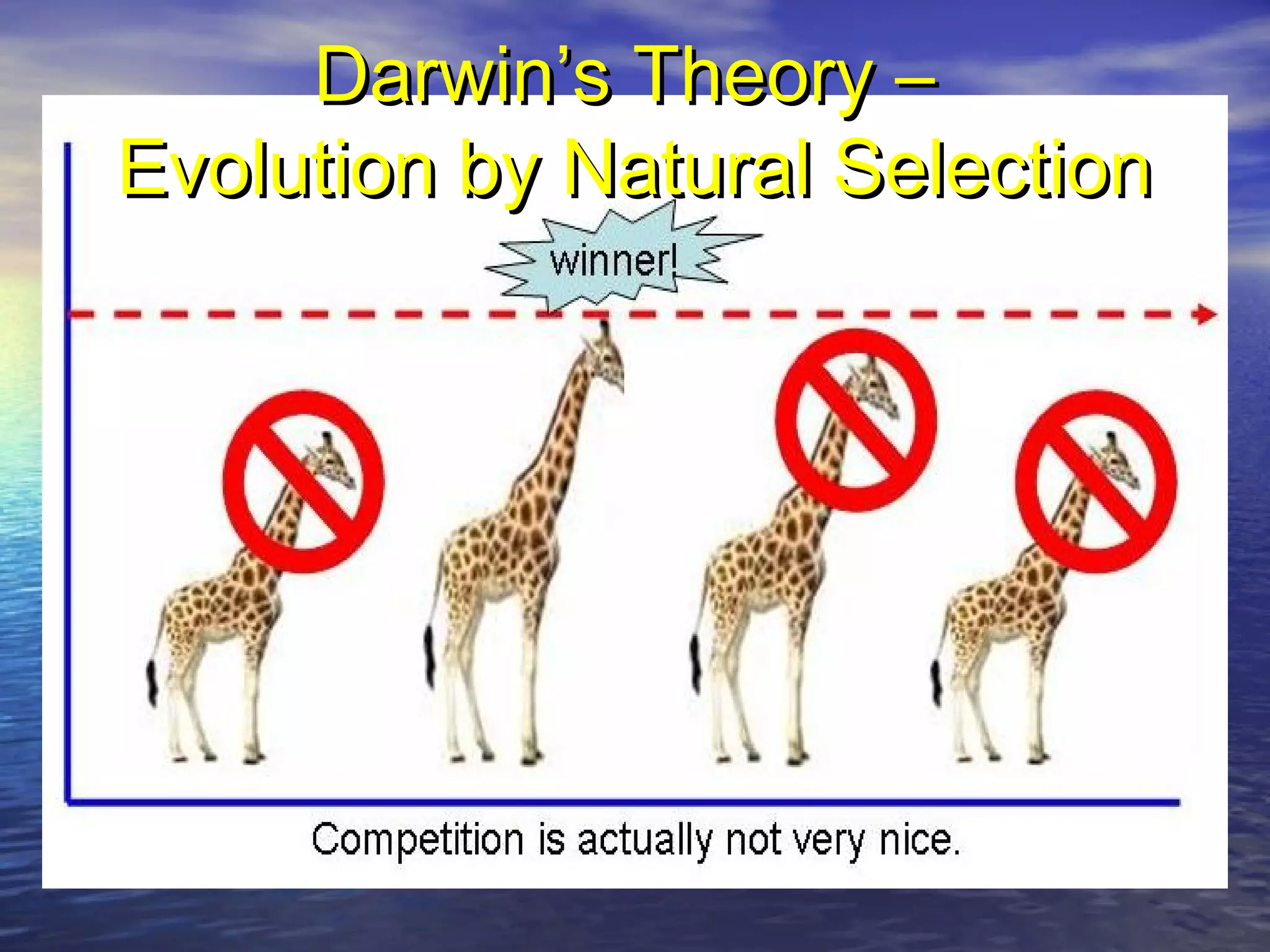 Darwin’s Theory –Darwin’s Theory –
Evolution by Natural SelectionEvolution by Natural Selection
 