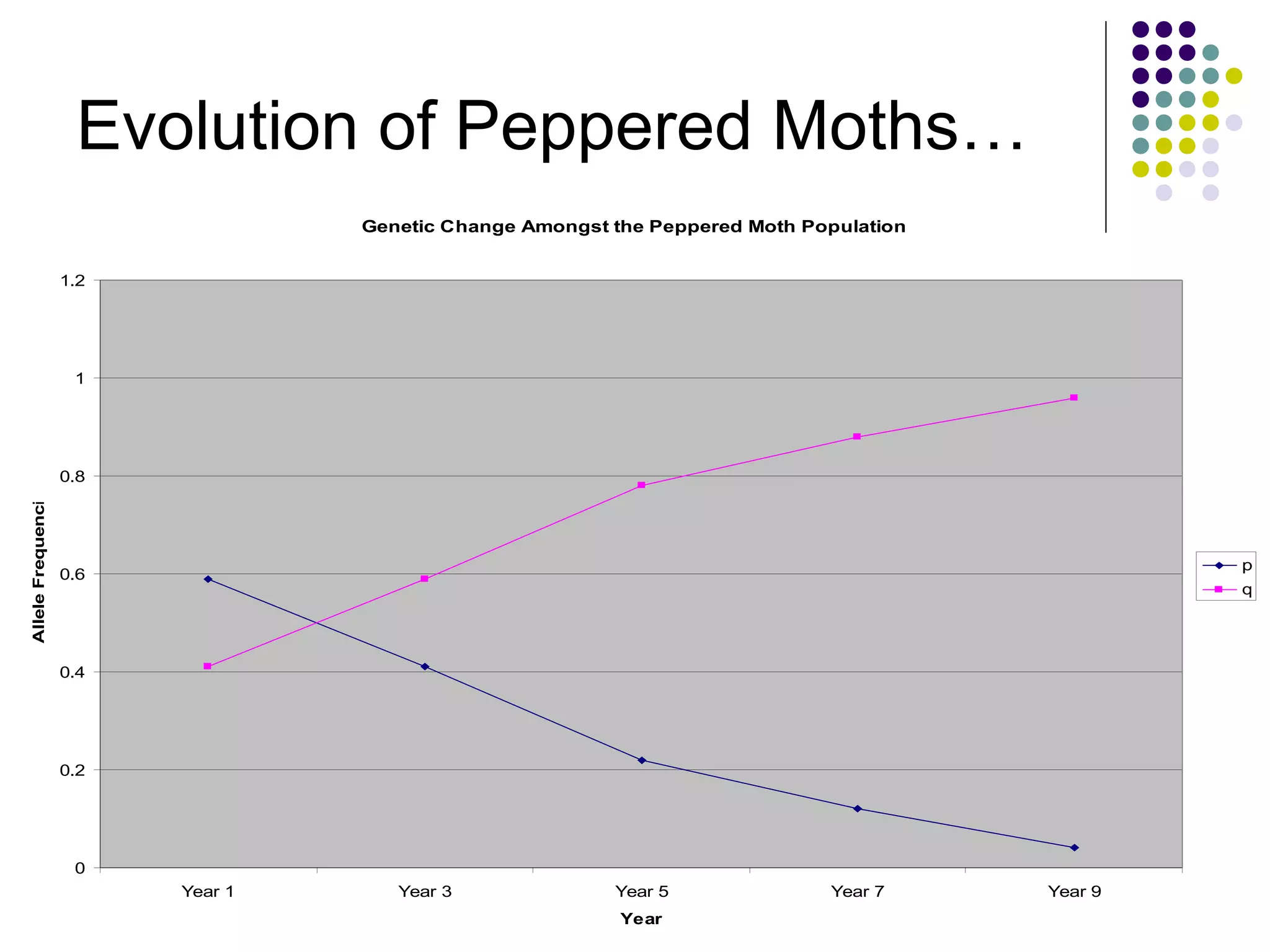 Evolution of Peppered Moths…
Genetic Change Amongst the Peppered Moth Population
0
0.2
0.4
0.6
0.8
1
1.2
Year 1 Year 3 Year 5 Year 7 Year 9
Year
AlleleFrequencies
p
q
 