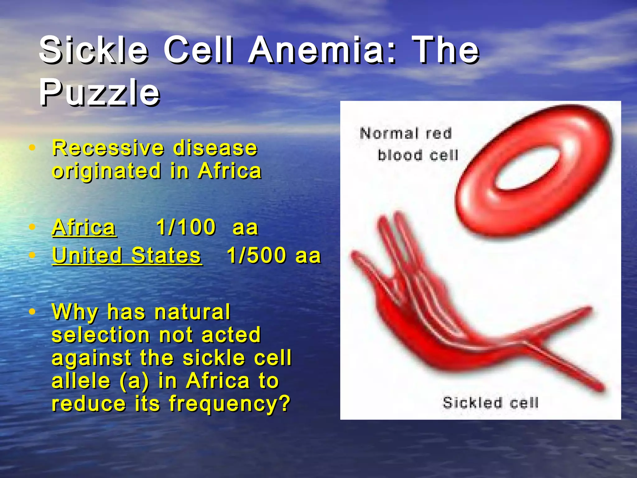 Sickle Cell Anemia: TheSickle Cell Anemia: The
PuzzlePuzzle
• Recessive diseaseRecessive disease
originated in Africaoriginated in Africa
• AfricaAfrica 1/100 aa1/100 aa
• United StatesUnited States 1/500 aa1/500 aa
• Why has naturalWhy has natural
selection not actedselection not acted
against the sickle cellagainst the sickle cell
allele (a) in Africa toallele (a) in Africa to
reduce its frequency?reduce its frequency?
 
