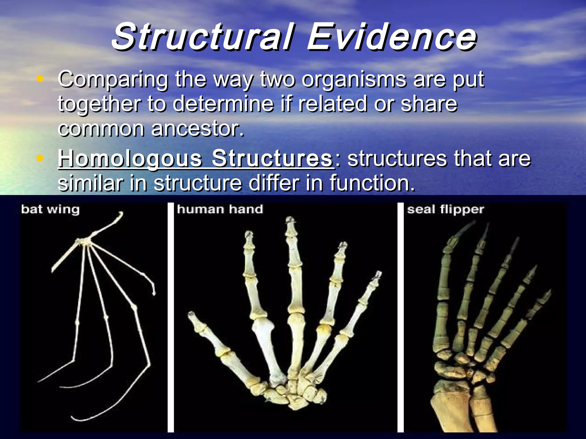 Structural EvidenceStructural Evidence
• Comparing the way two organisms are putComparing the way two organisms are put
together to determine if related or sharetogether to determine if related or share
common ancestor.common ancestor.
• Homologous StructuresHomologous Structures : structures that are: structures that are
similar in structure differ in function.similar in structure differ in function.
 