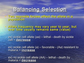 Balancing SelectionBalancing Selection
• Two opposite forces affect the allele in aTwo opposite forces affect the allele in a
populationpopulation
• Allele frequency may vary year to year, butAllele frequency may vary year to year, but
over time usually remains same (value)over time usually remains same (value)
ex) sickle cell allele (aa) – lethal - death by sickleex) sickle cell allele (aa) – lethal - death by sickle
cell =cell = decreasedecrease
ex) sickle cell allele (a) – favorable - (Aa) resistant toex) sickle cell allele (a) – favorable - (Aa) resistant to
malaria =malaria = increaseincrease
ex) no sickle cell allele (AA) – lethal - death byex) no sickle cell allele (AA) – lethal - death by
malaria =malaria = decreasedecrease
 