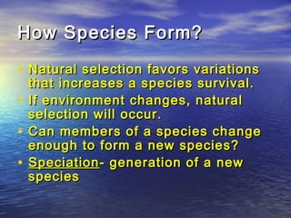 How Species Form?How Species Form?
• Natural selection favors variationsNatural selection favors variations
that increases a species survival.that increases a species survival.
• If environment changes, naturalIf environment changes, natural
selection will occur.selection will occur.
• Can members of a species changeCan members of a species change
enough to form a new species?enough to form a new species?
• SpeciationSpeciation- generation of a new- generation of a new
speciesspecies
 